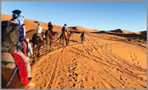 Best Morocco Private Tours - Local Morocco Guide,private Marrakech tours to Sahara Best Morocco Private Tours - Local Morocco Guide,private Marrakech tours to Sahara